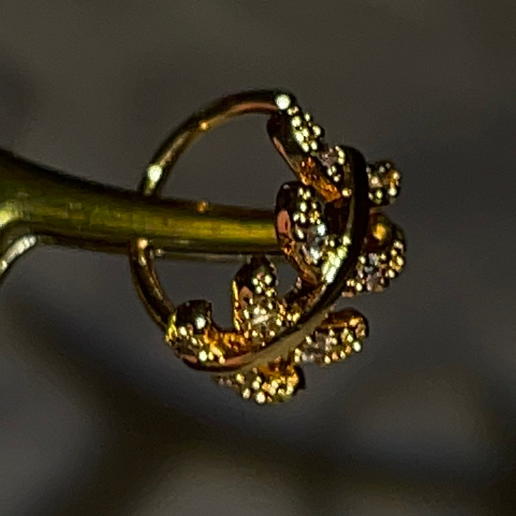5pc Nose Hoops