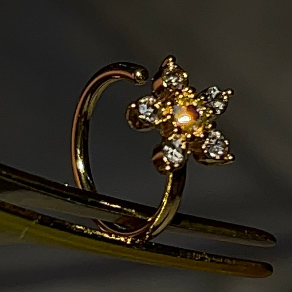5pc Nose Hoops