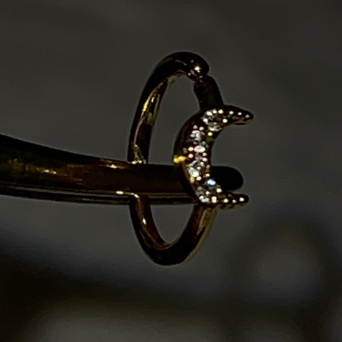 5pc Nose Hoops